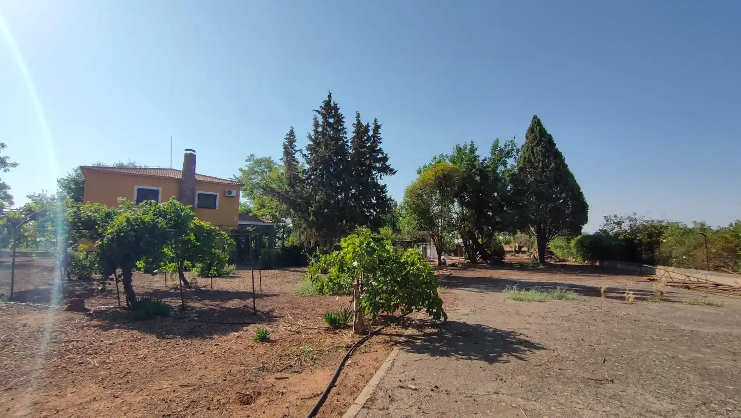 Casa rústica en venda a Valdepeñas, imagen 22