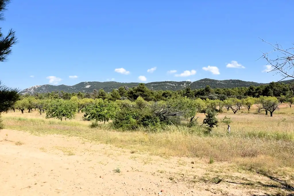 Industrial land for sale in Fuentespalda
