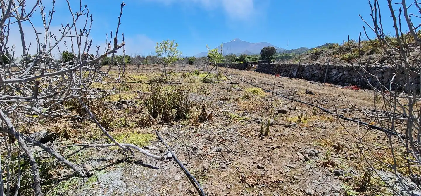 Casa rústica con jardín en venta en Garachico, imagen 6