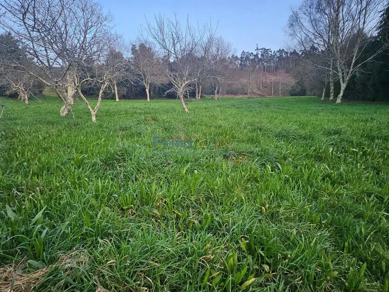 Finca rústica en venta en Cabanas con Calefacción y Jardín privado