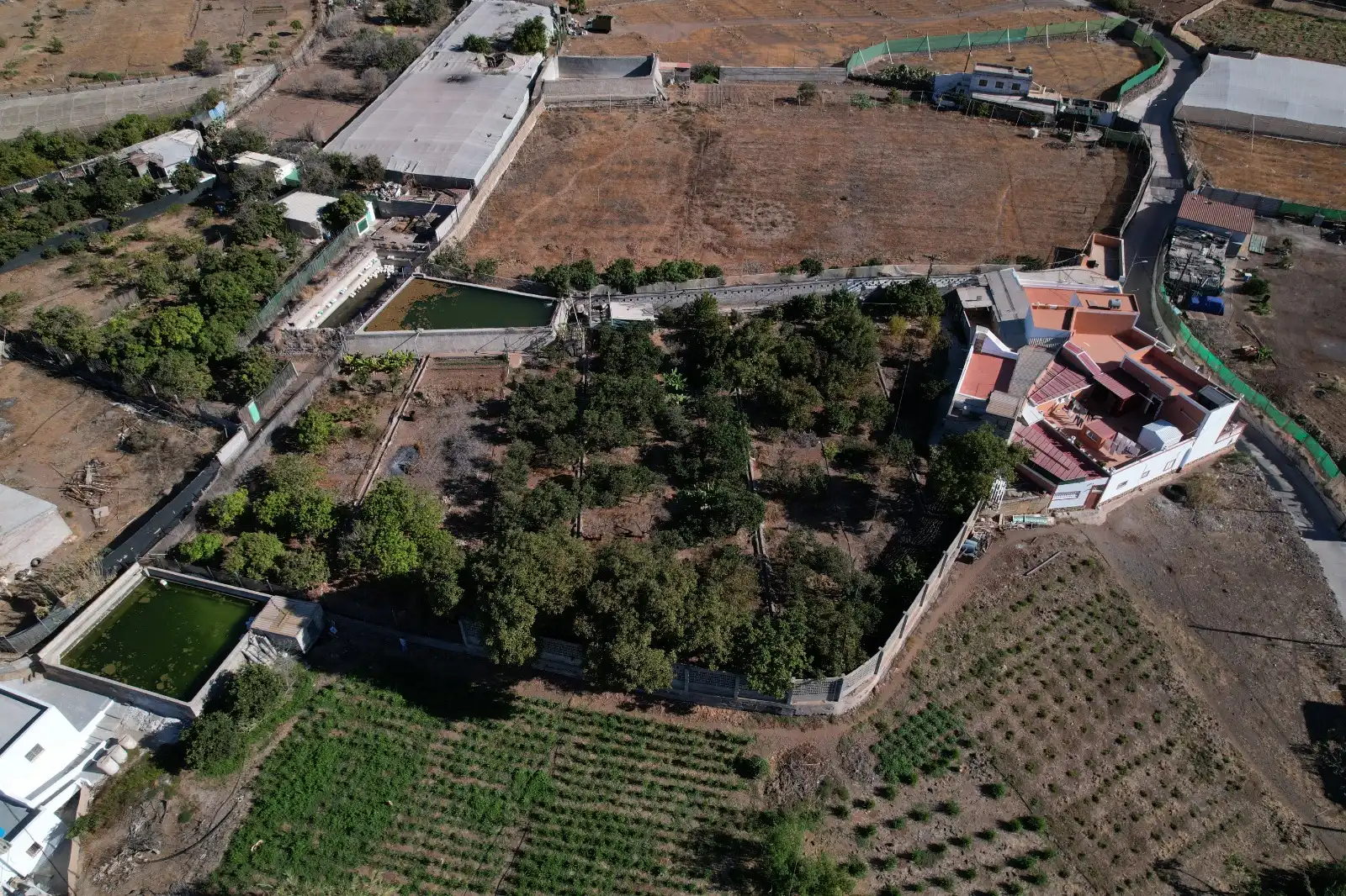 Casa rústica con jardín en venta en La Aldea de San Nicolás