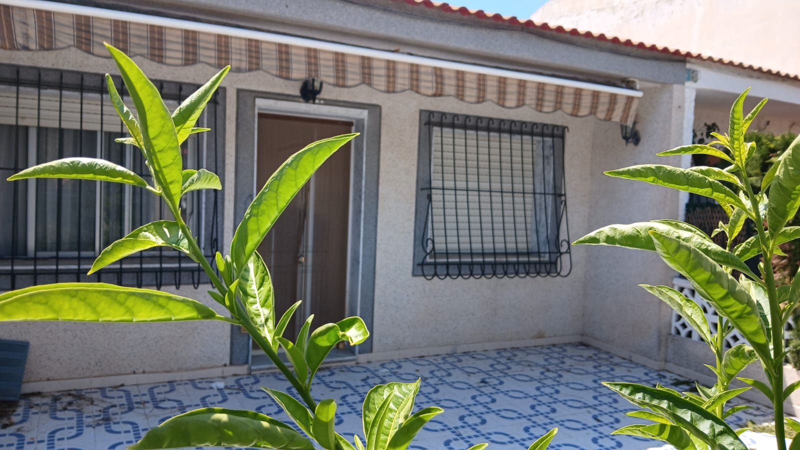 Exterior view of House or chalet for sale in San Pedro del Pinatar  with Private garden, Terrace and Furnished