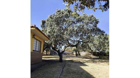 Photo 4 of House or chalet for sale in Tres Arroyos, Corte de Peleas, Badajoz