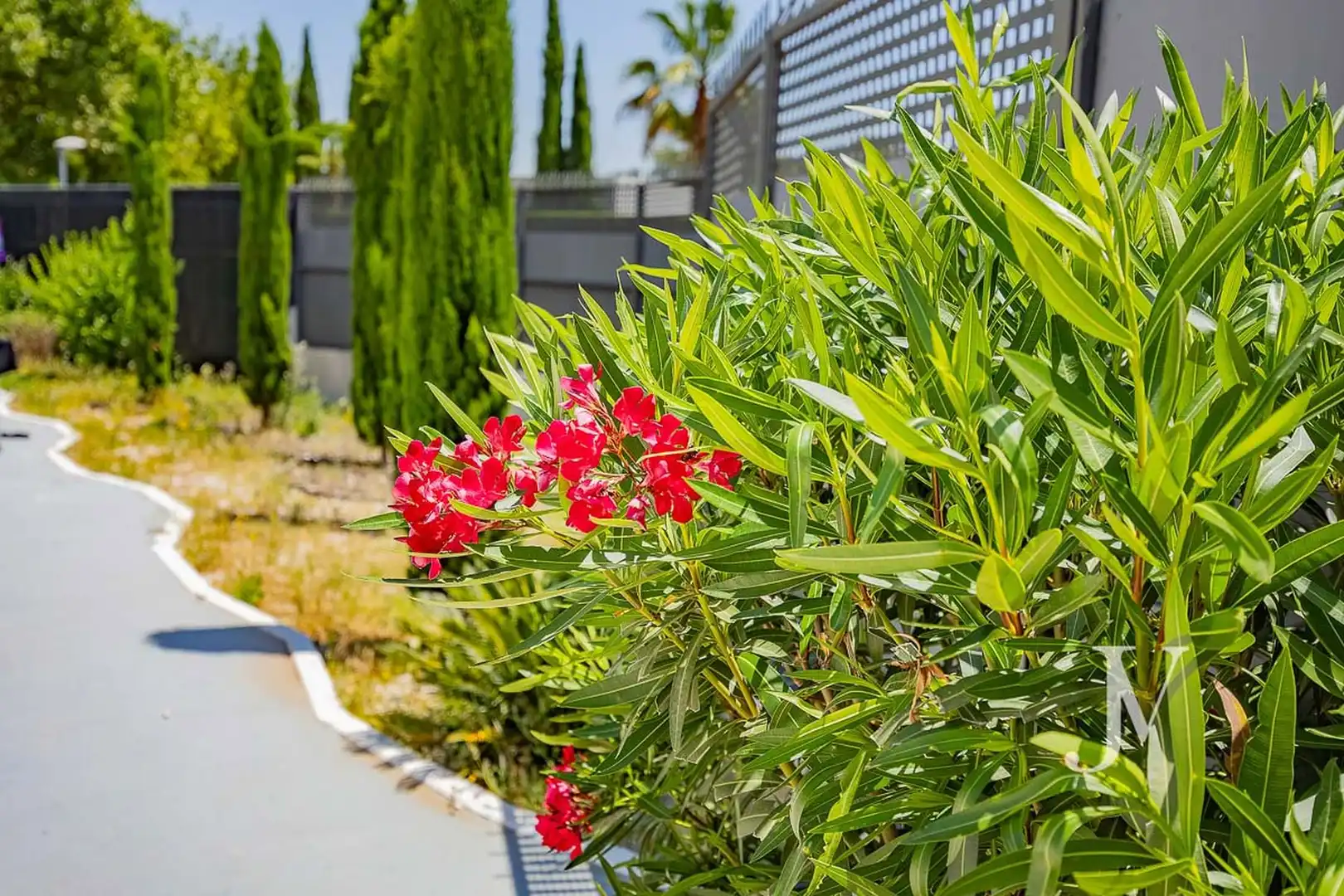 Jardín de Casa o chalet en venta en La Moraleja con Aire acondicionado, Calefacción y Jardín privado
