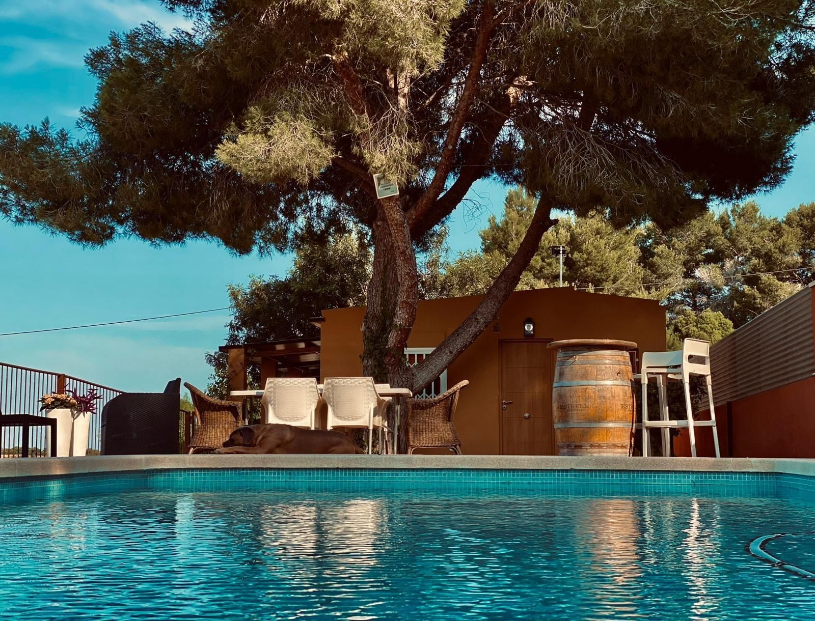 Piscina de Finca rústica en venda en Pilar de la Horadada amb Aire condicionat, Jardí privat i Terrassa