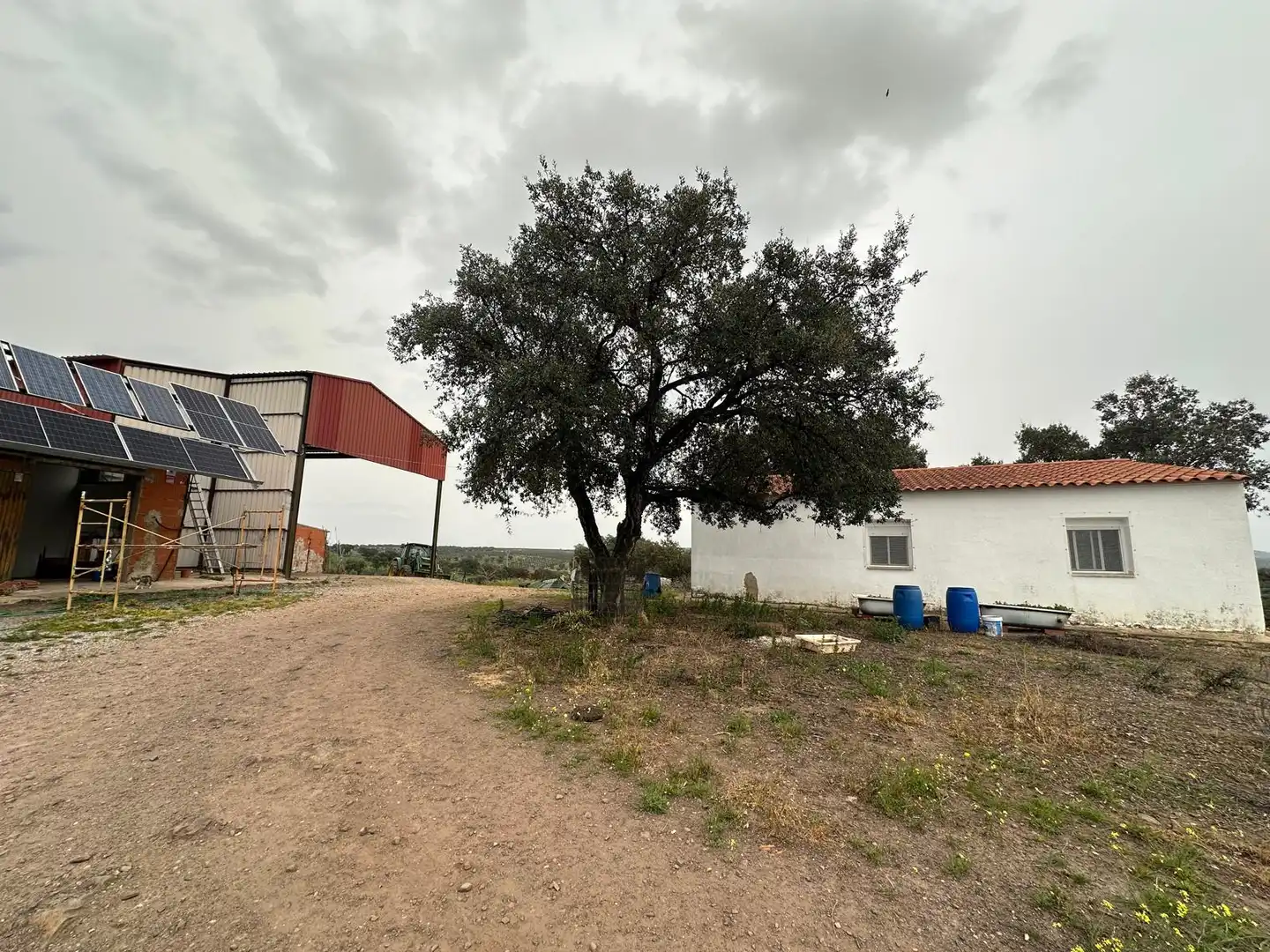 Finca rústica en venta en Oliva de Mérida