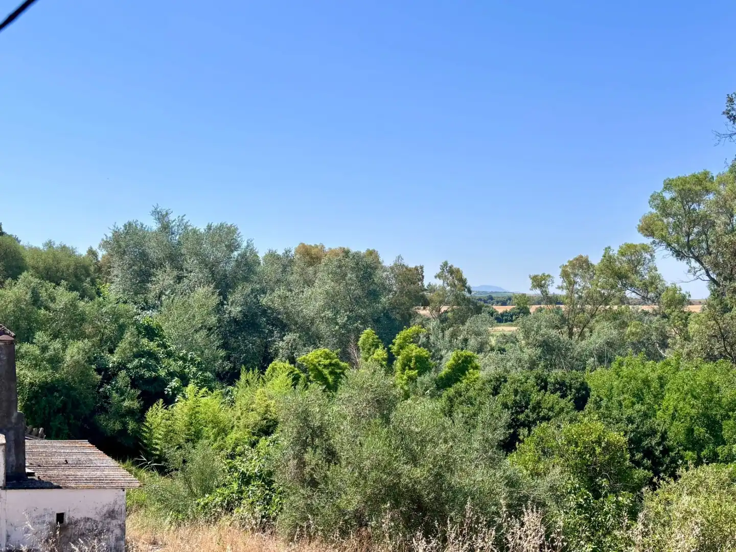 Grundstücke zum Verkauf in Arcos de la Frontera