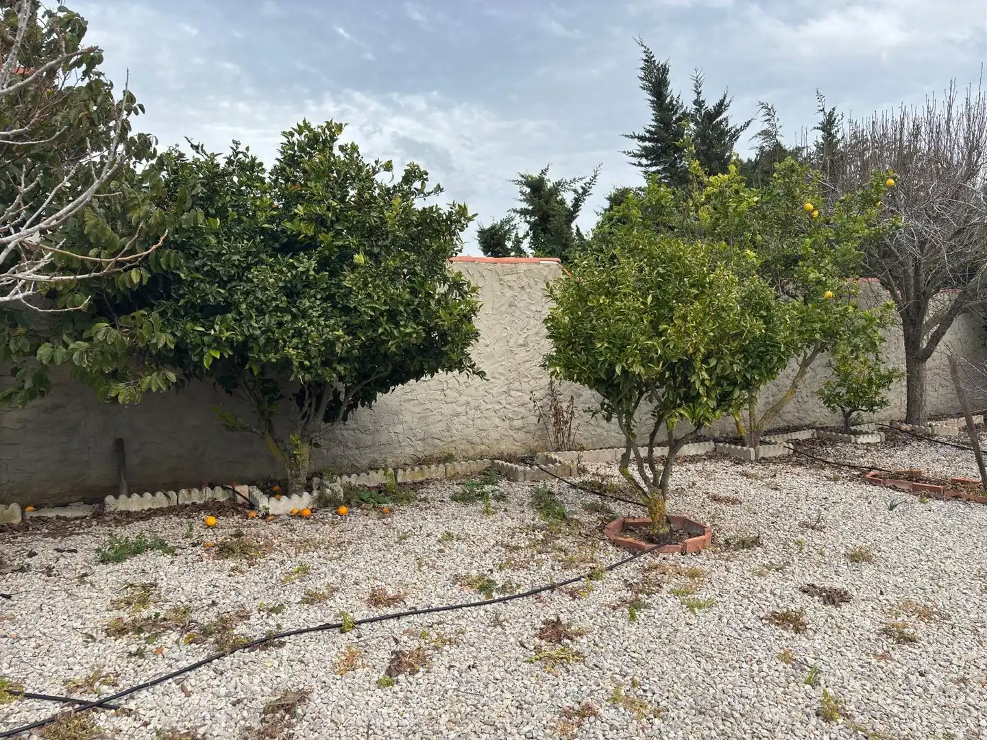 Casa rústica amb jardí en venda a Vejer, imagen 25