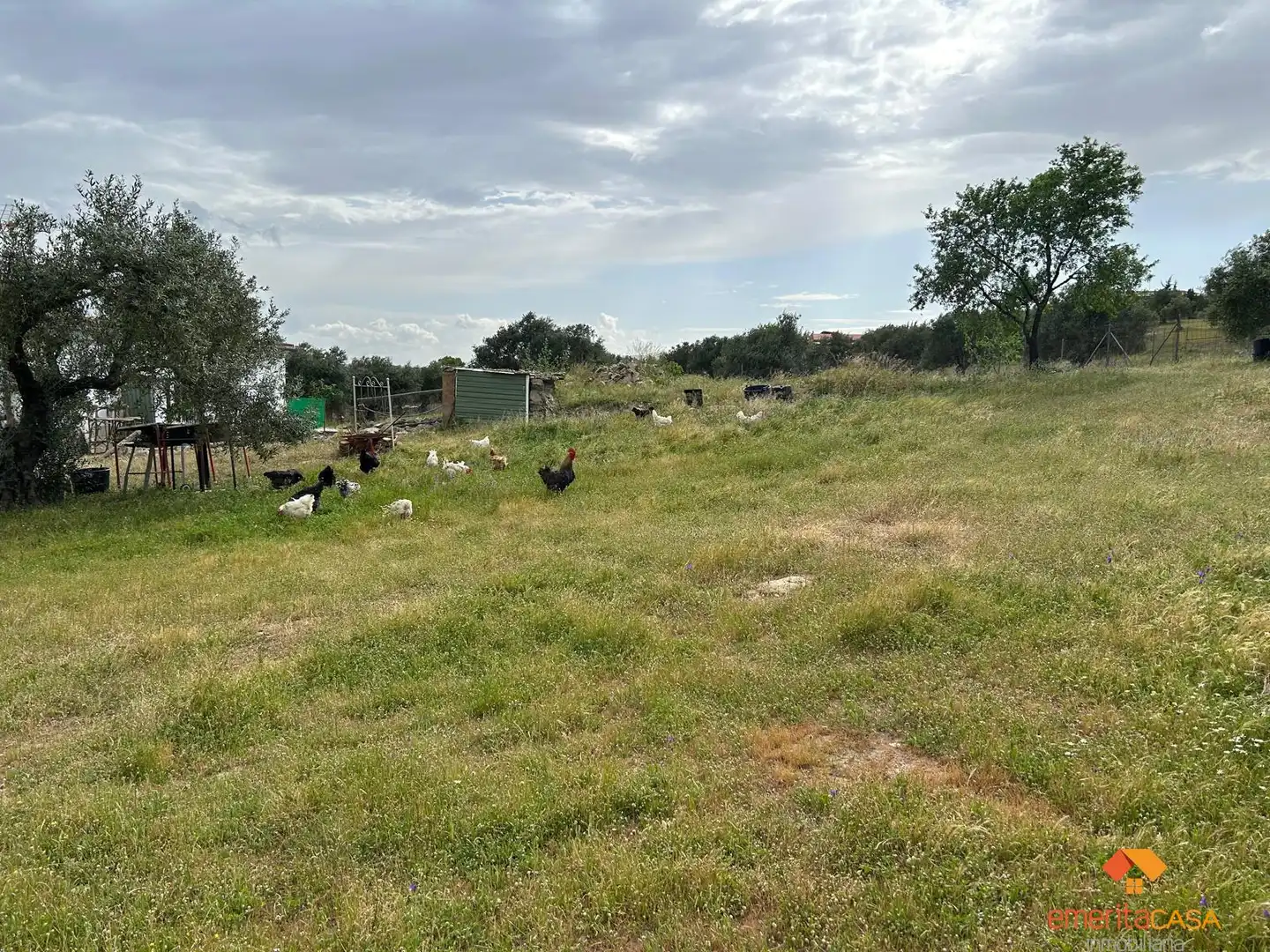 Country homes for sale in Mérida