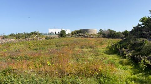 Foto 3 de Residencial en venta en Buen Paso - La Mancha, Icod de los Vinos