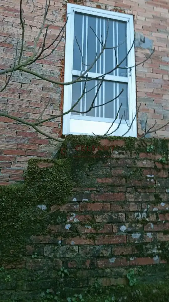 Casa amb jardí en venda a O Pereiro de Aguiar, imagen 13