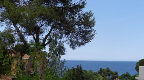 CalongeTerreno