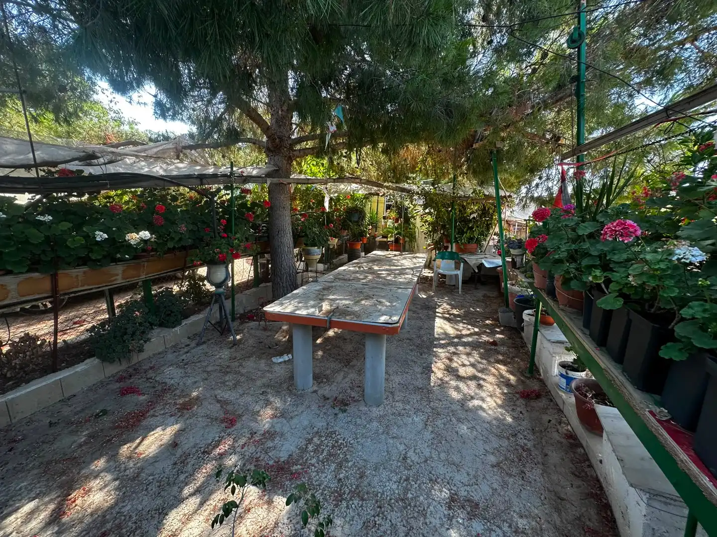 Terreno rústico en venta en Villamontes - Boqueres, imagen 11