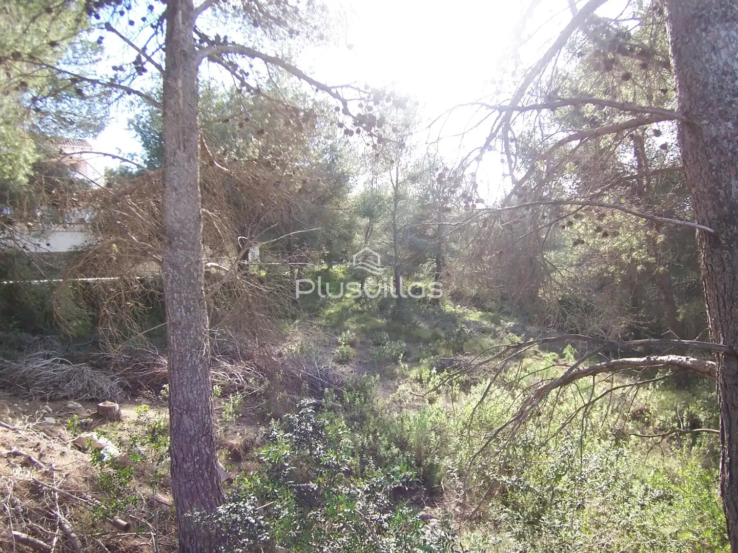Terrenys i solars en venda a Benimeit - Tabaira, imagen 7