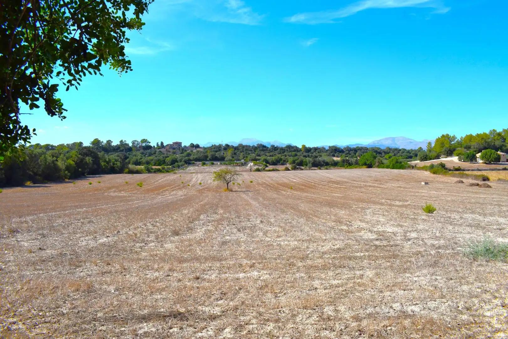 Terreny residencial en venda a Llubí, imagen 3