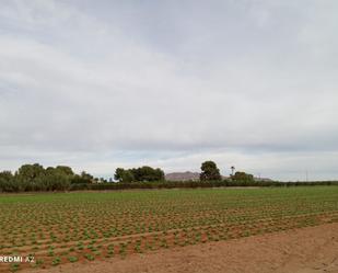 Finca rústica en venda en Torre-Pacheco