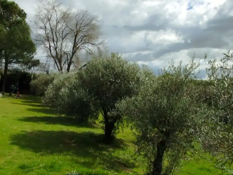 Jardí de Residencial en venda en Palomeque