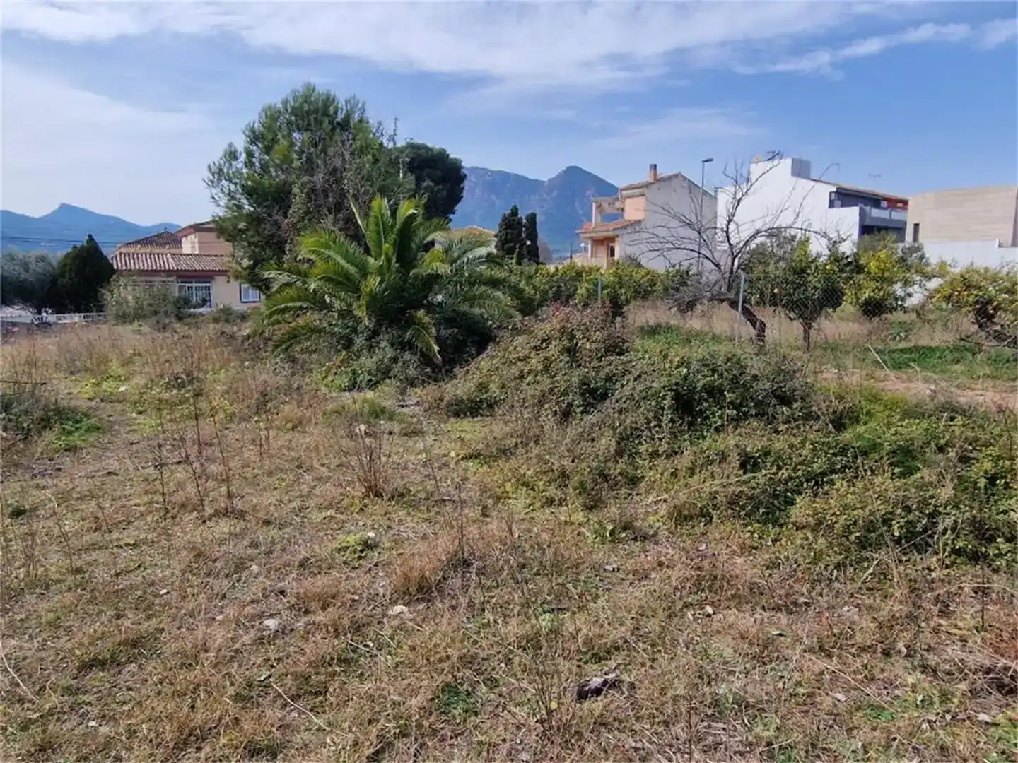 Terreno en venta en Albalat dels Tarongers