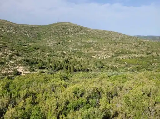 Terreny rústic en venda a Pt Los Barrancos, imagen 12