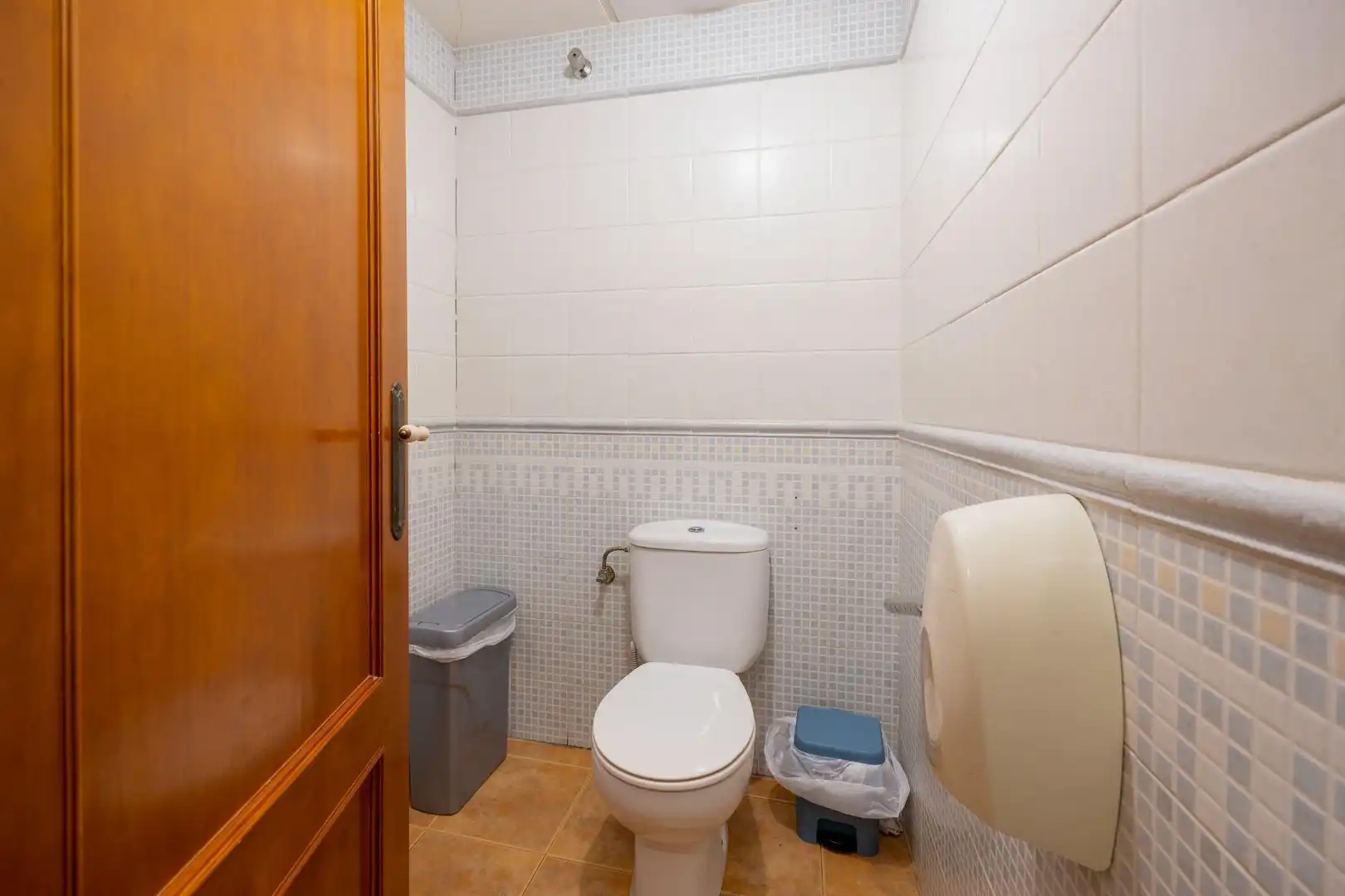 Local comercial en venta en Calle SAN GABRIEL, imagen 39
