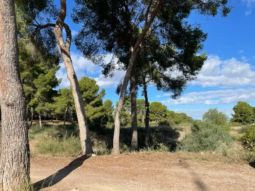 Terreny residencial en venda a Calle del Pino, imagen 5