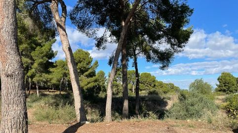 La Alberca, zona Verdolay, Cl.Pino parcela exclusiva de 14.000 m2 junto parque Regional El Valle, imatge 5