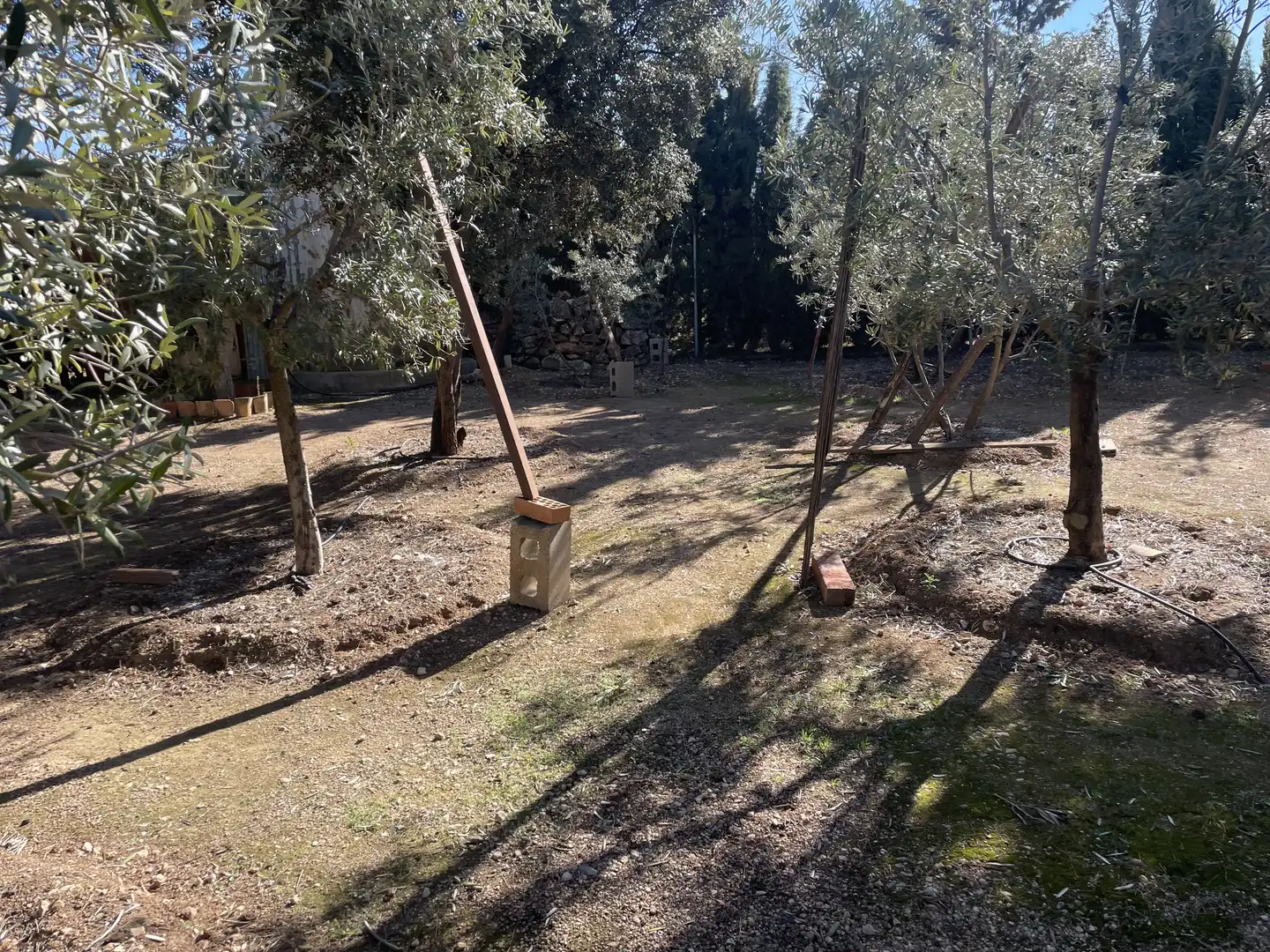 Chalet con jardín en venta en Argamasilla de Alba, imagen 51