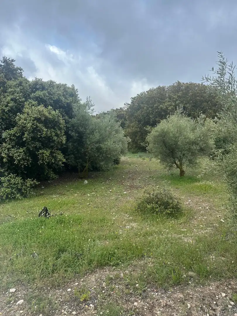 Terreni e lotti in vendita a Alfarnate, imagen 61