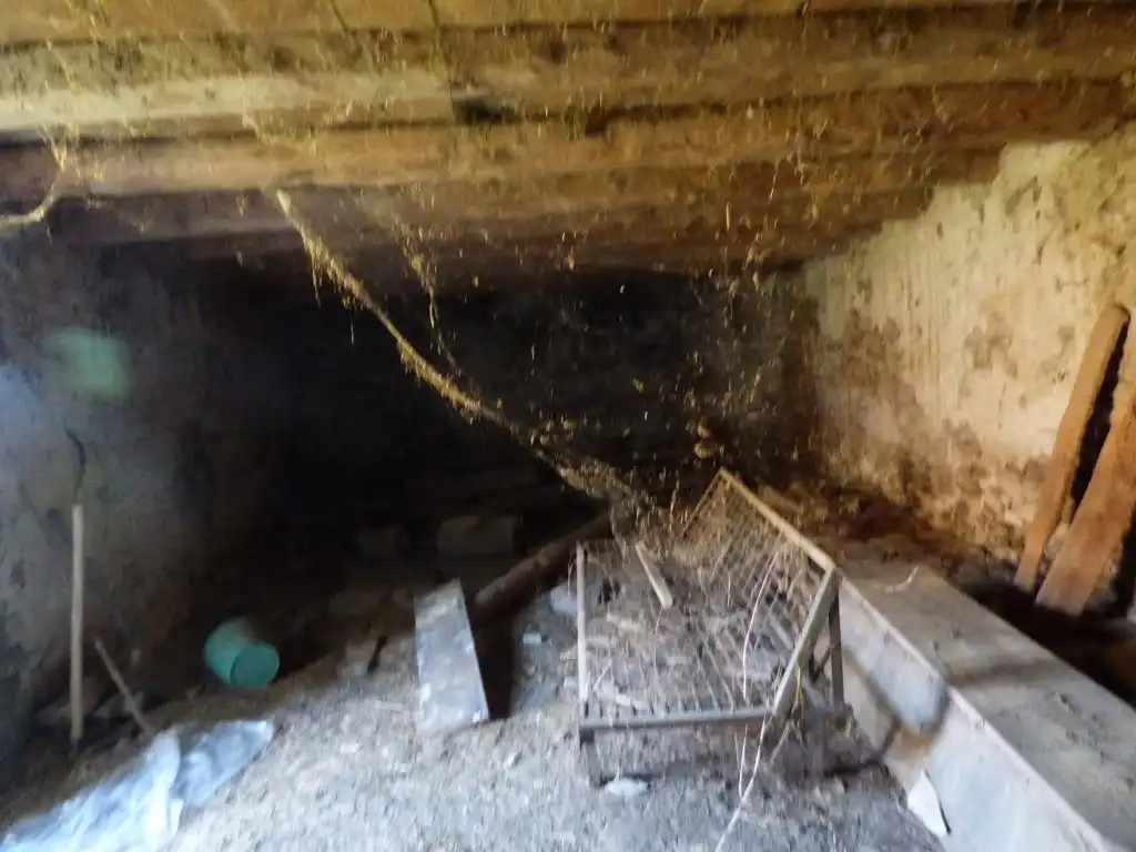 Casa o chalet en venta en Cam. Eras Bajas, 19, 19, Fiscal