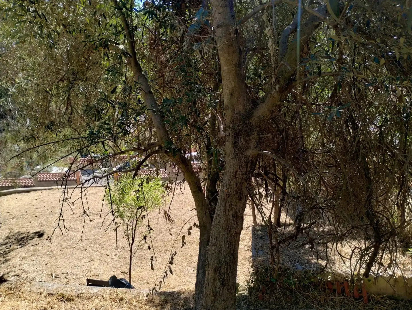 Terreni e lotti in vendita a Cabrera d'Anoia, imagen 12