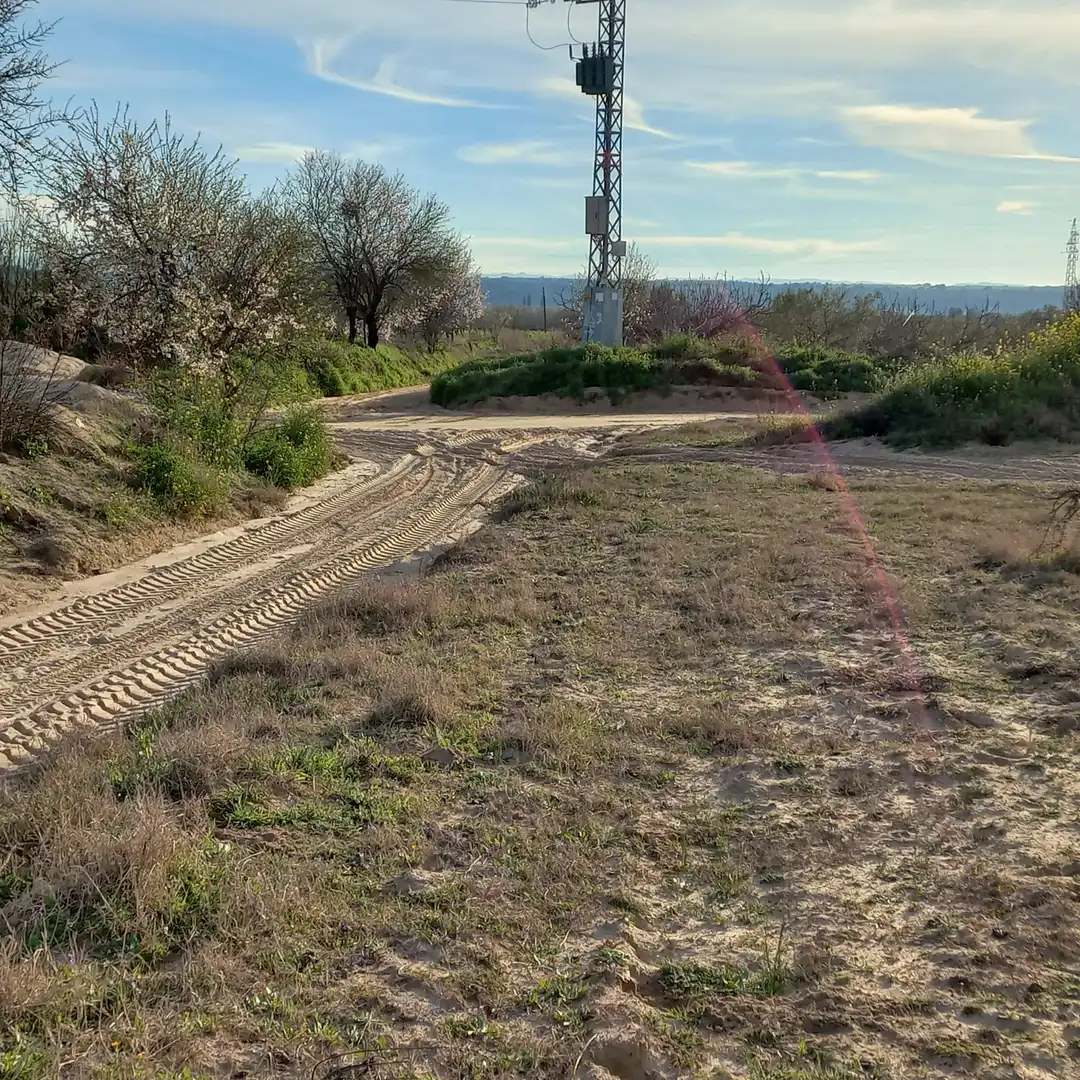 Rural land for sale in Cebolla, imagen 2