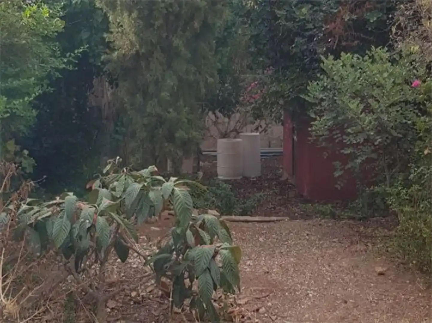 Casa o chalet en venta en  Palma de Mallorca