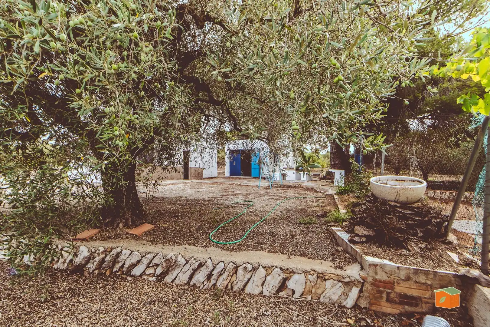 Casa rustica in vendita a Freginals, imagen 15