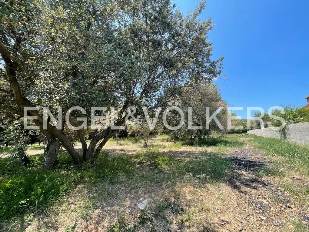 Terreno residencial en venta en Carrer de L'Avellaner