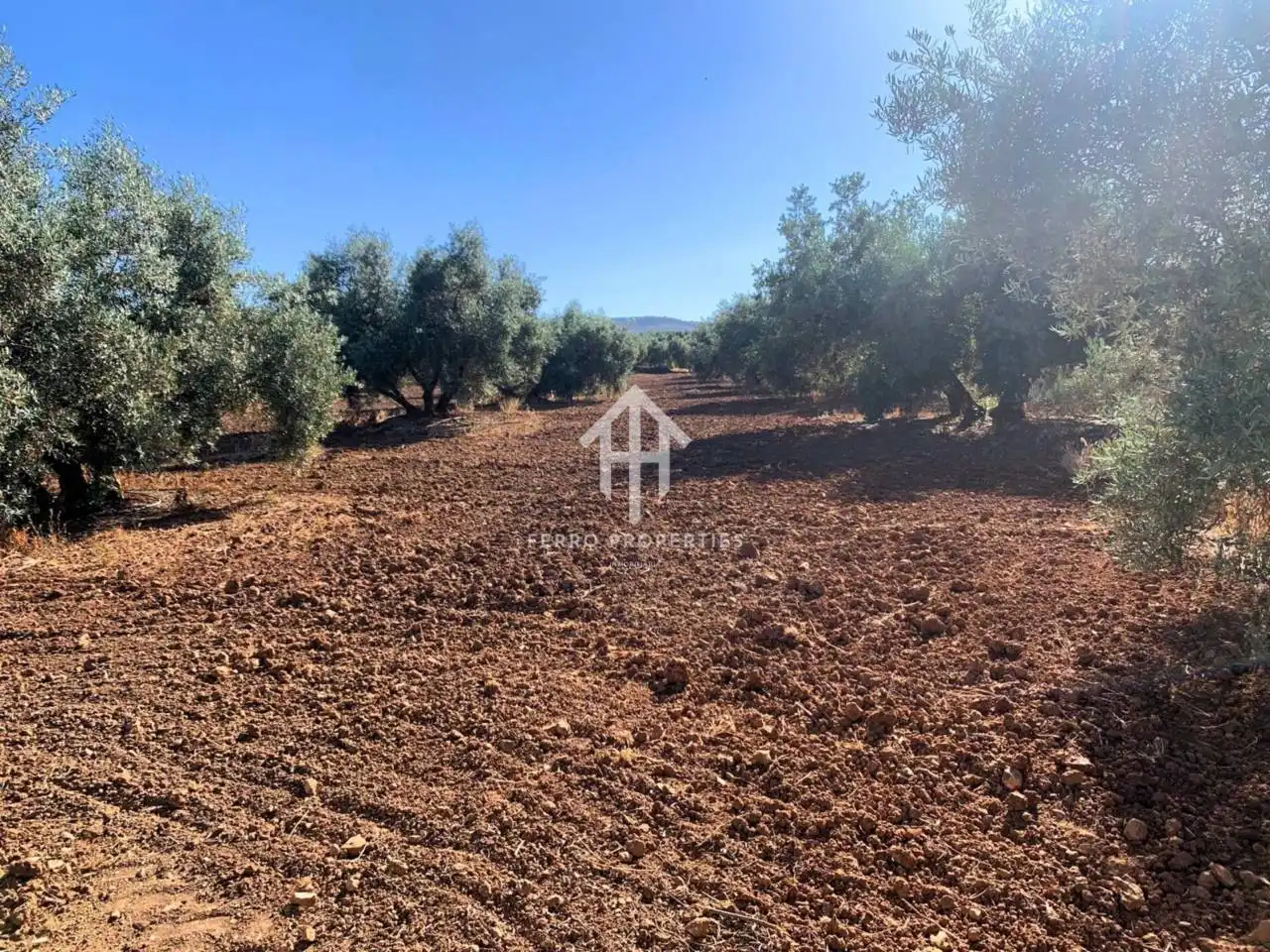 Terrain rustique à vendre à Loja, imagen 4