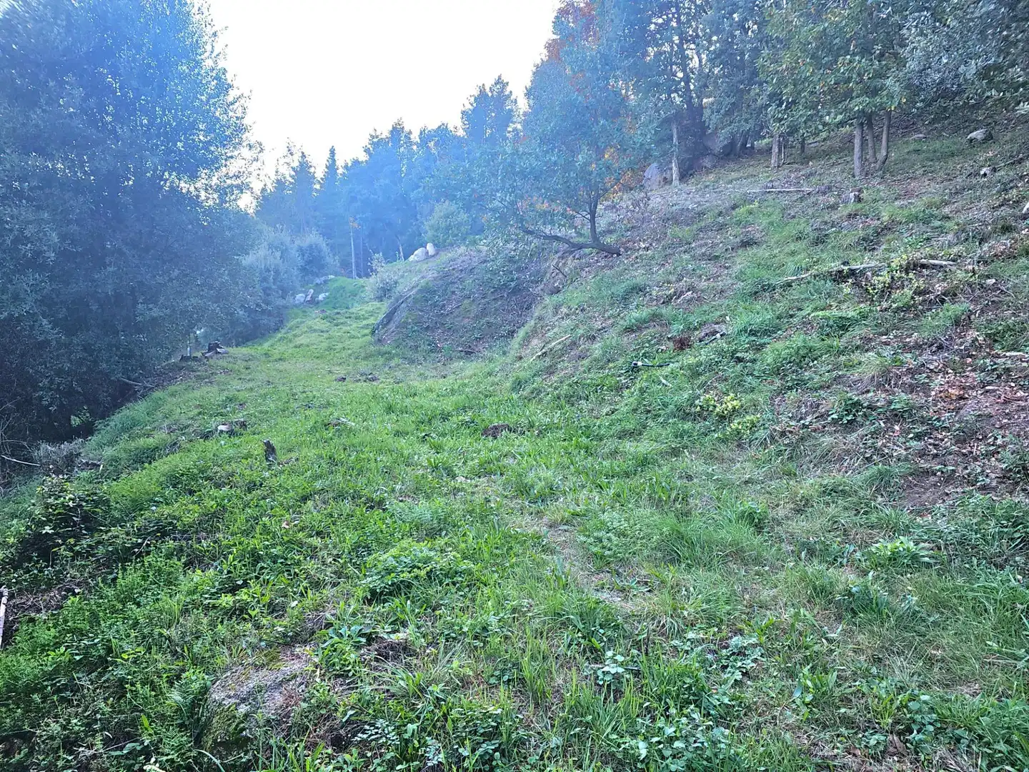 Casa rústica amb jardí en venda a Riells i Viabrea, imagen 41