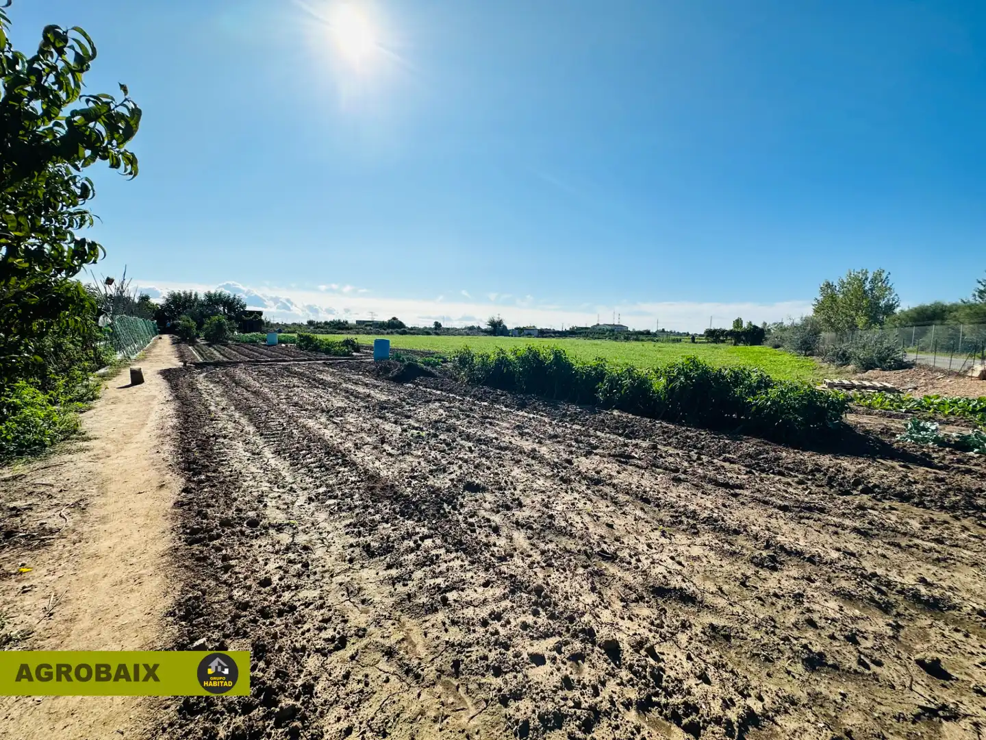 Rural land for sale in Torrent Ballester