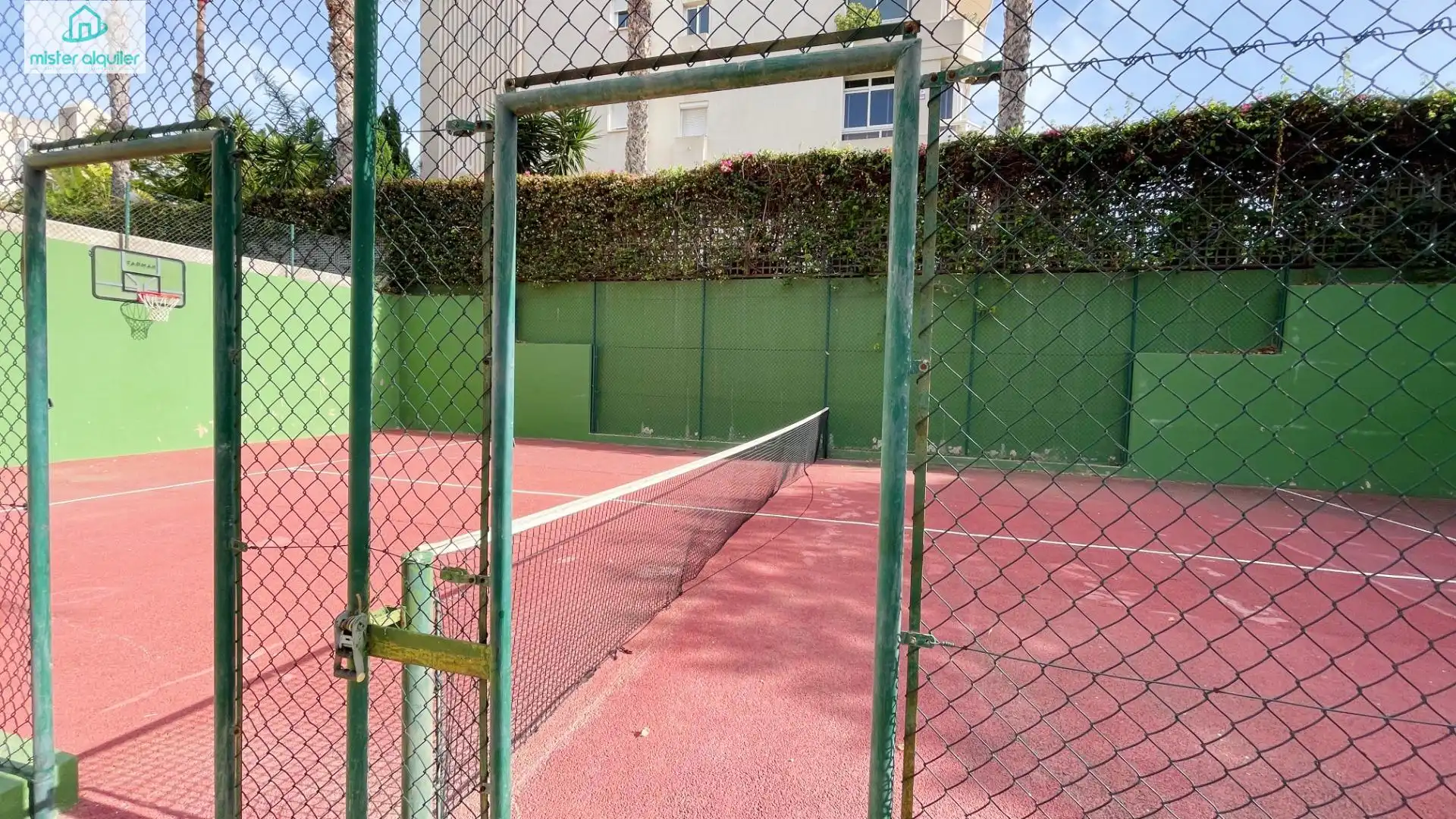 Apartament amb piscina de lloguer a PINTOR FERNANDO SORIA 11, imagen 37