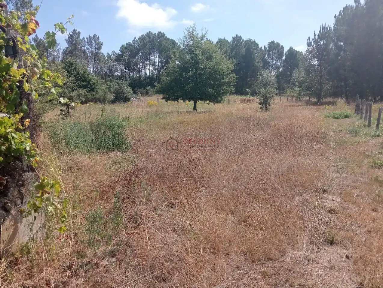 Terreni e lotti in vendita a San Cibrao das Viñas