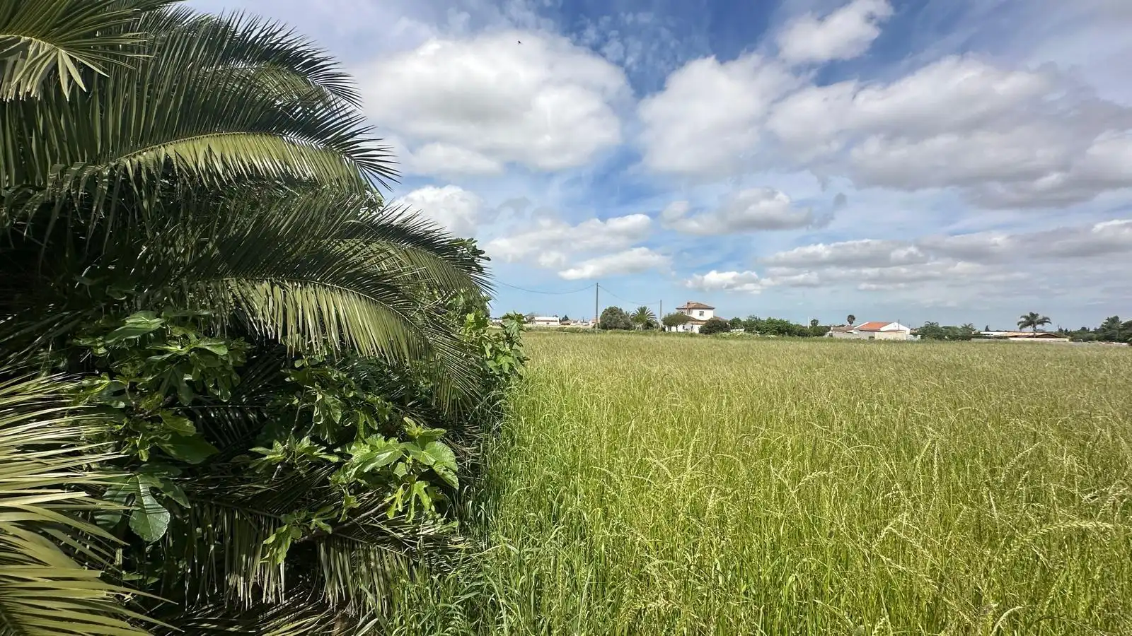 Finca rústica en venda en Conil de la Frontera