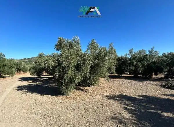 Terreni e lotti in vendita a Calle de la Magdalena, imagen 3