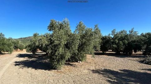 Terreno en venta en El Gordal, Baeza, immagine 3