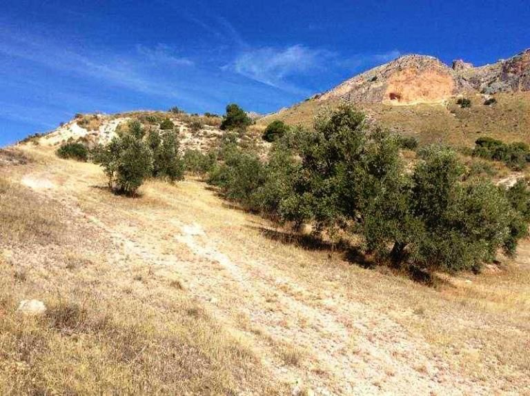 Land for sale in Bedmar y Garcíez