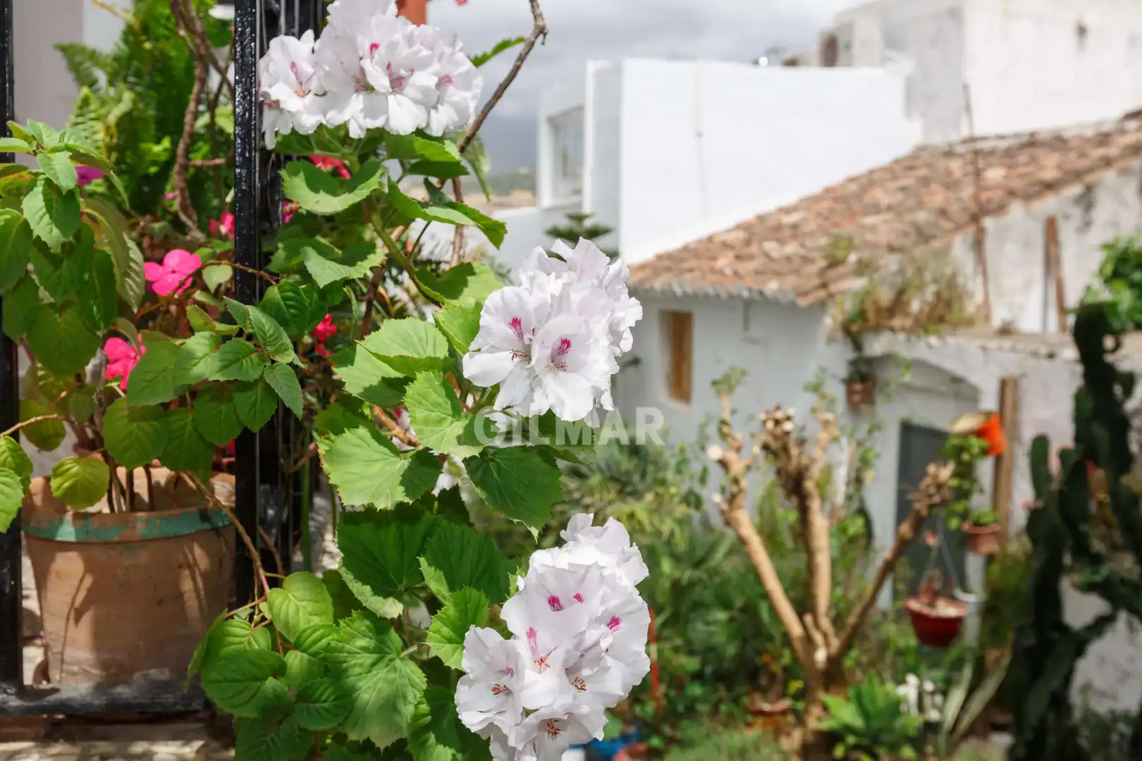 Vista exterior de Casa adosada en venda en Estepona