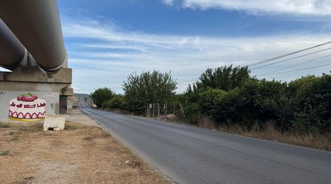Parcela rústica en Orihuela, immagine 3