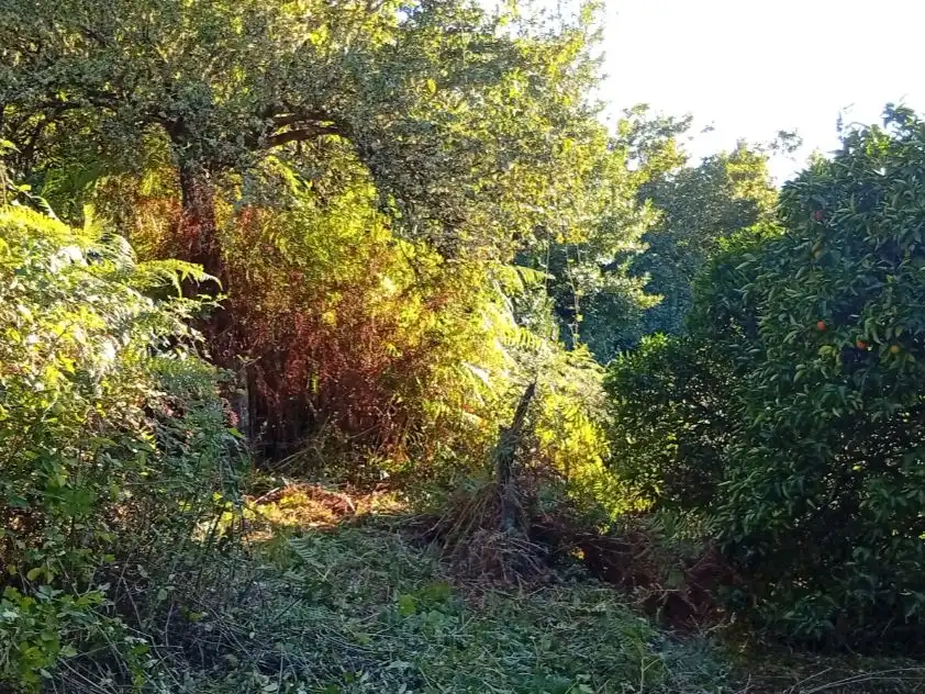 Houses for sale in Padrenda  with Private garden and Furnished