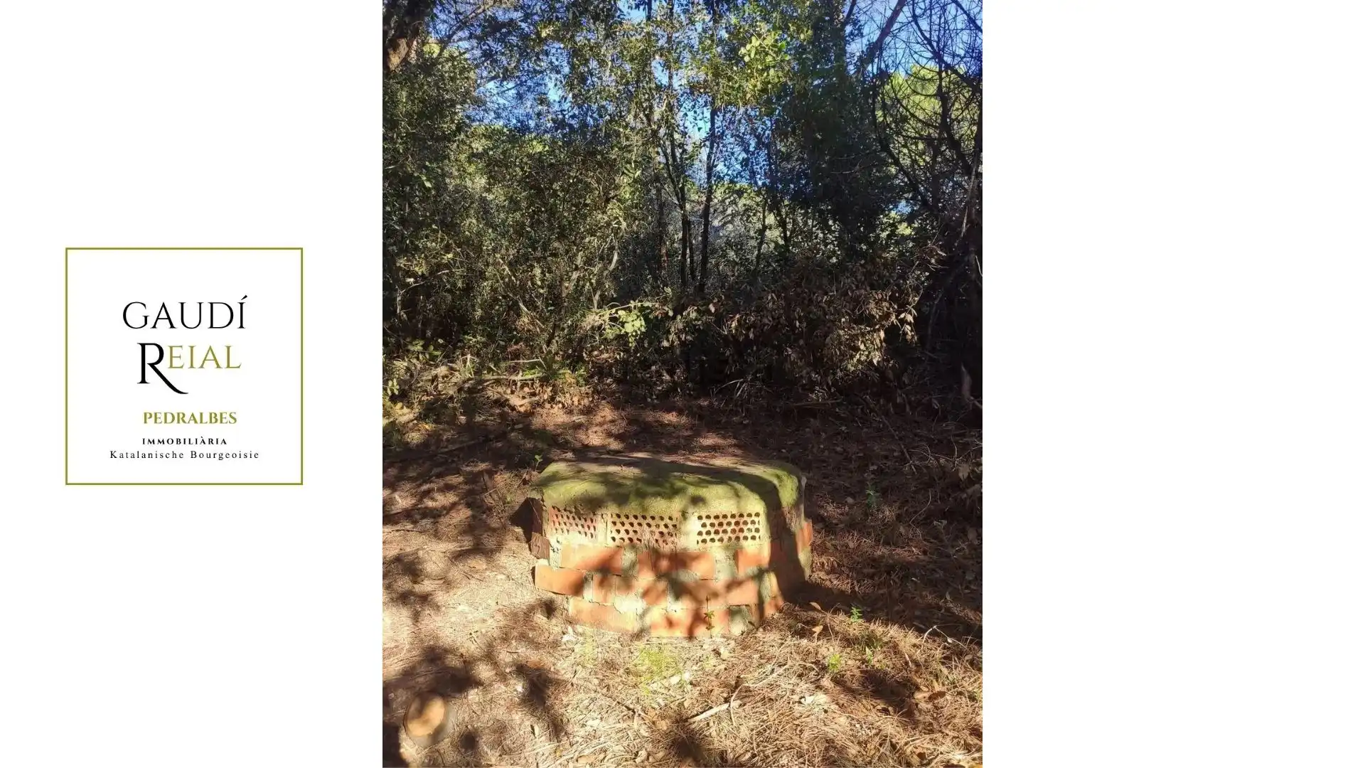Rural land for sale in Arenys de Munt
