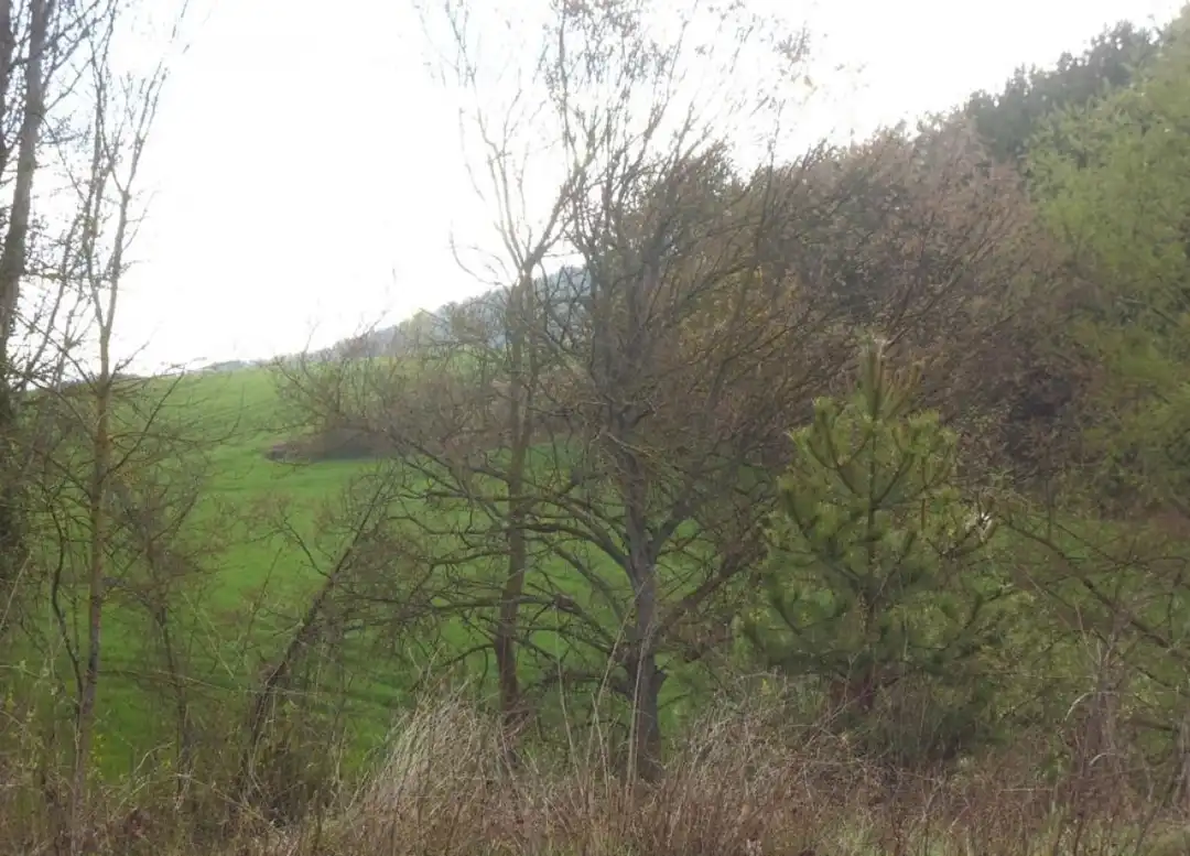 Fabrikhallen zur Miete in Valle de Egüés / Eguesibar