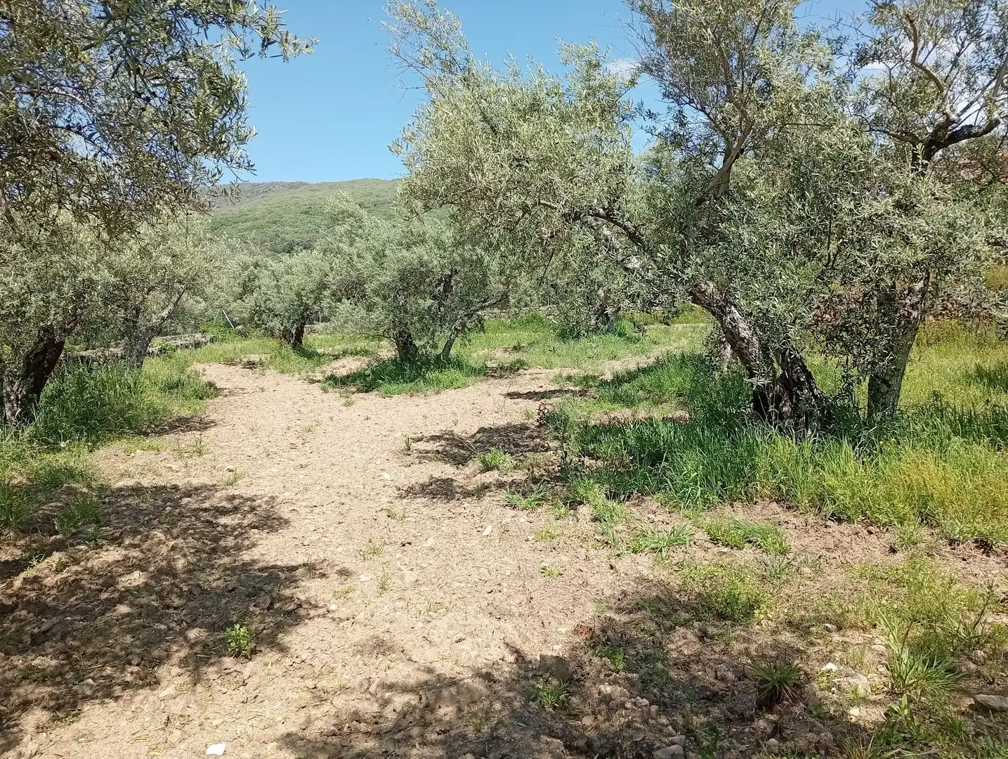 Terreni e lotti in vendita a Villanueva de la Vera, imagen 57