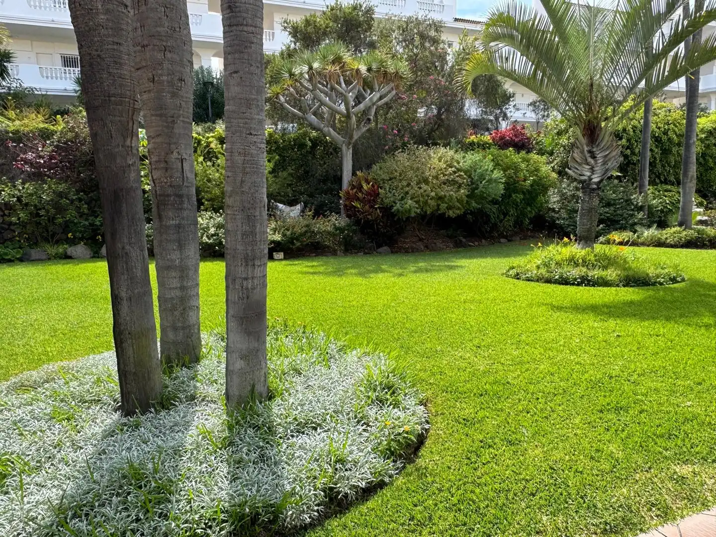 Jardí de Casa adosada en venda en Puerto de la Cruz amb Terrassa, Moblat i Balcó